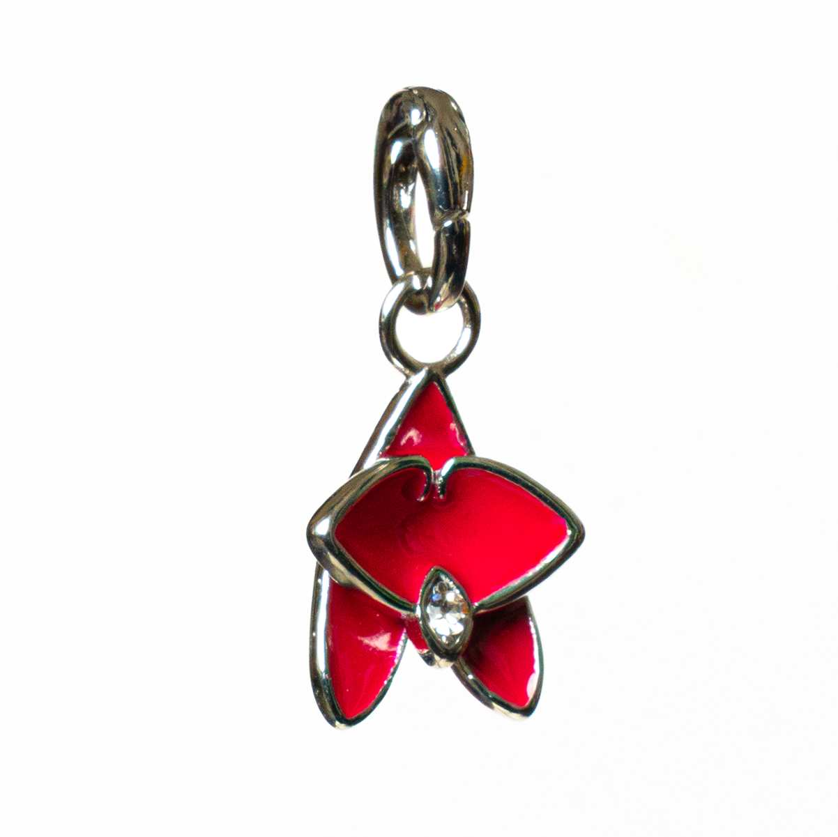 Orquídea Charm